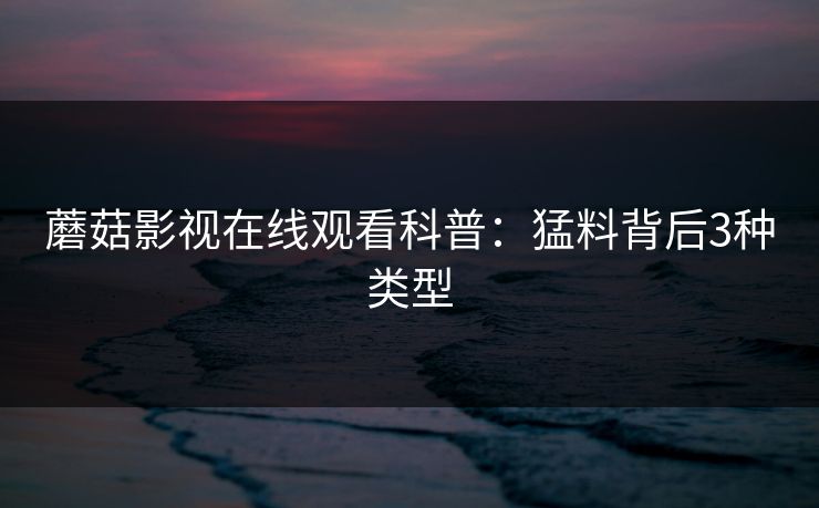 蘑菇影视在线观看科普：猛料背后3种类型
